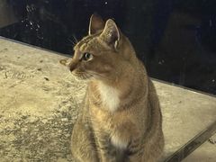 -琶醍壹号•潮菜江景餐吧