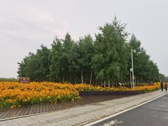 -哈尔滨大剧院