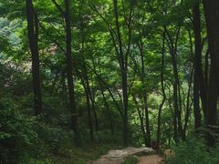 -秦岭终南山世界地质公园翠华山景区