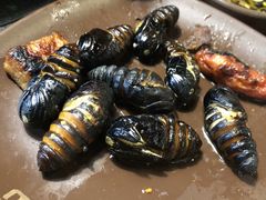 -韩盛·盛江山自助料理(奥体万达店)