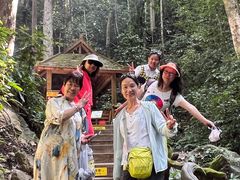 -西双版纳原始森林公园