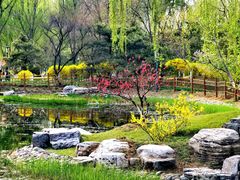 -燕郊植物园
