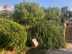 -南通濠河风景名胜区