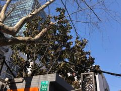 -上海市黄浦区巨鹿路第一小学