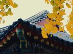 -回龙观体育文化公园