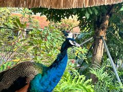 -珠海海泉湾神秘岛亲子乐园