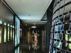 -武商摩尔影城(国广IMAX激光店)