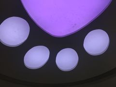 -美联众合动物医院·24h京西诊疗中心