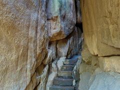 -鲁山国家森林公园