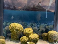 -浙江自然博物院(杭州馆)