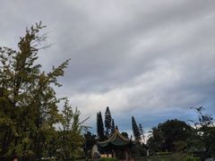 -江心屿景区