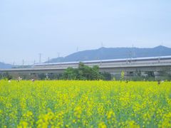-光明小镇欢乐田园