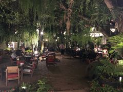 -Fern Forest Cafe