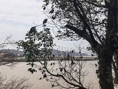 -外蒲山