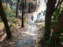 -青龙山国家森林公园