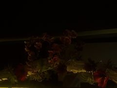 -江南足纪·影院足道·轻奢SPA(笋岗HALO广场店)
