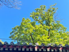 -潭柘寺景区
