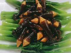 -陶缘一号·四季缘·老字号顺德菜·户外婚礼家宴(西滘店)