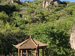 -大岭沟猕猴桃谷风景区