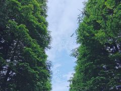 -山王坪喀斯特国家生态公园