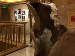 -阿斯牛牛·凉山菜(新会展店)