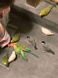 -酷嗒动物文化乐园(cutezoo西溪乐天城店)