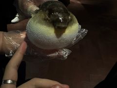 -肆月河豚·淮扬菜·湘菜(华天店)