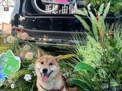 -泰州之星奔驰4S店(海陵店)