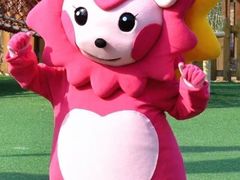 -房记津津老鸭汤