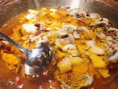 -雲蜀龙阁·金牌水煮鱼(方庄店)