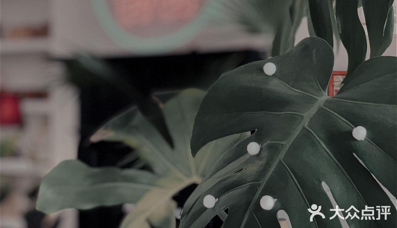 花好月圆 ｜一家能满足你所有怀旧情怀的咖啡店！