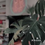 花好月圆 ｜一家能满足你所有怀旧情怀的咖啡店！