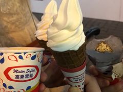 -富豪雪糕车流动点(尖沙咀店)