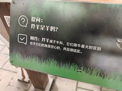 -成都动物园