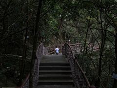 -海南热带雨林国家公园吊罗山景区