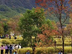 -塔川景区
