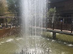 -呀路古热带植物园