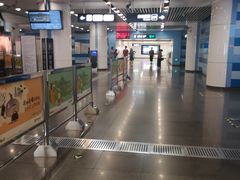 -大望路(地铁站)