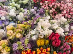 -宝鸡东道花鸟鱼虫市场(吉利花园商场店)
