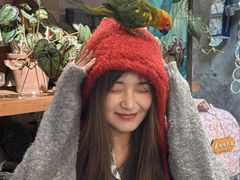 -吉丁鸟咖·异宠·寄养