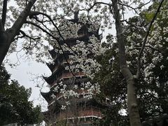-北寺塔
