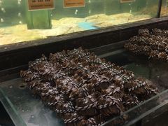 -西贝海鲜汇(槐安路店)