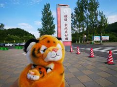 -横道河子东北虎林园