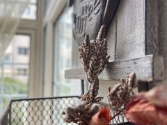 -三仟津花园咖啡馆