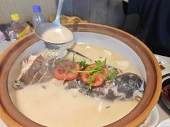 -全乐鱼馆·淳牌有机鱼直营店