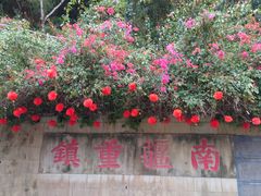 -友谊关景区