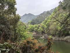 -牛头山森林公园
