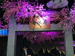 -韵秋荷(宝山龙湖天街店)