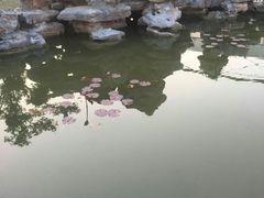 -呼吸森林·生态农庄农家乐私房菜