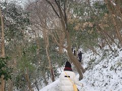 -紫金山山顶公园